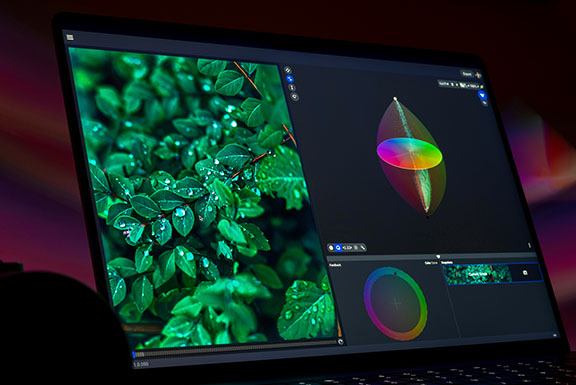 Comparing photo color on a calibrated monitor before printing - Yellow Lab Imaging